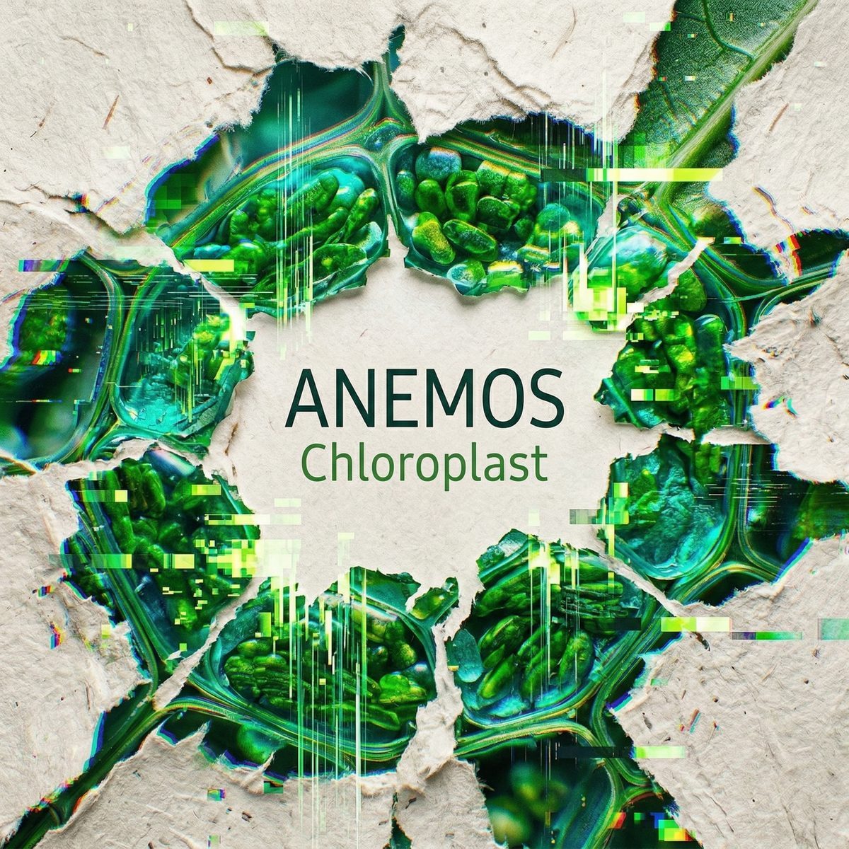 Chloroplast cover