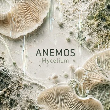 Mycelium