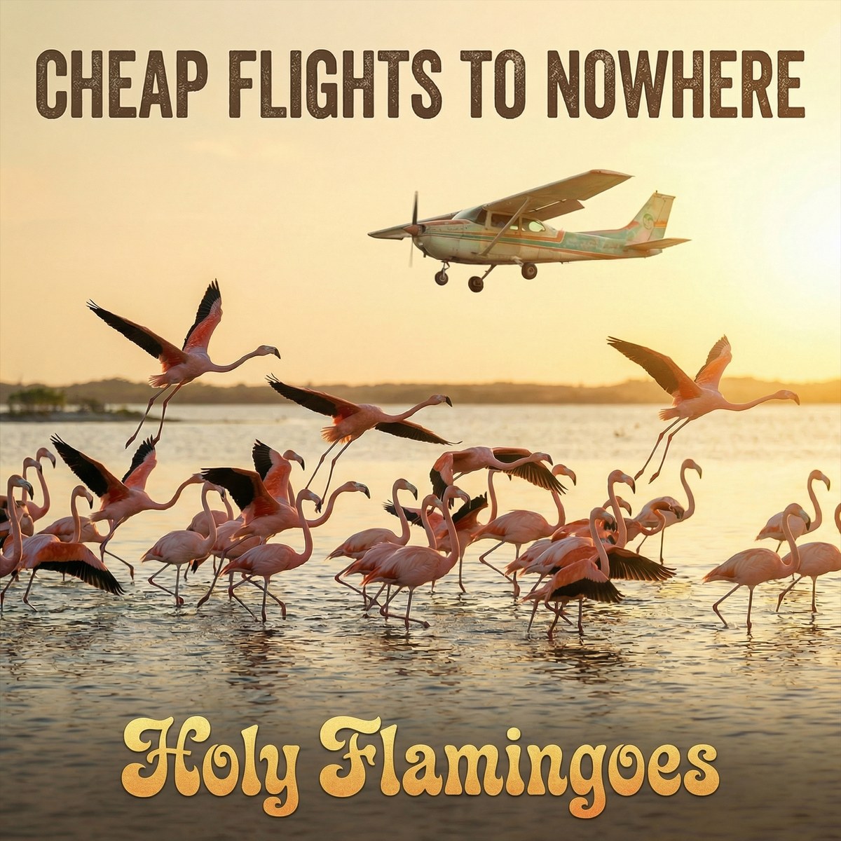 Holy Flamingoes cover