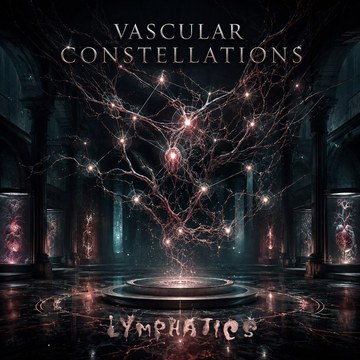 Vascular Constellations